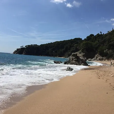 Bertur Gran Reserva Comte Empuries *