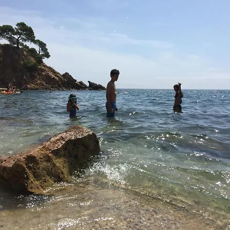 Bertur Gran Reserva Comte Empuries *