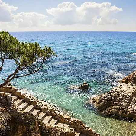 Bertur Gran Reserva Comte Empuries