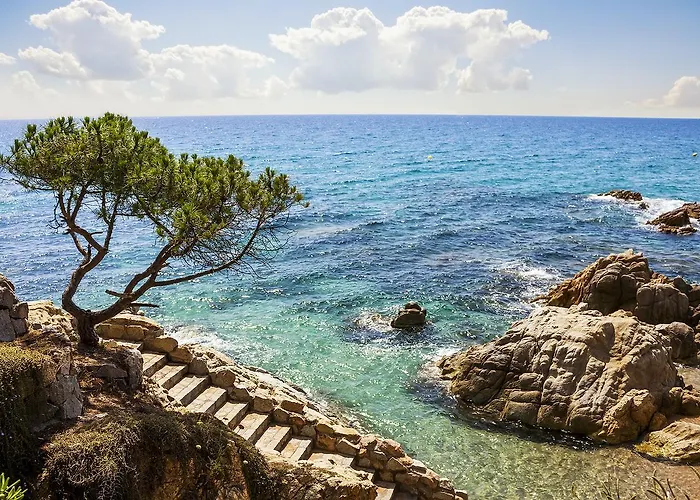 Bertur Gran Reserva Comte Empuries